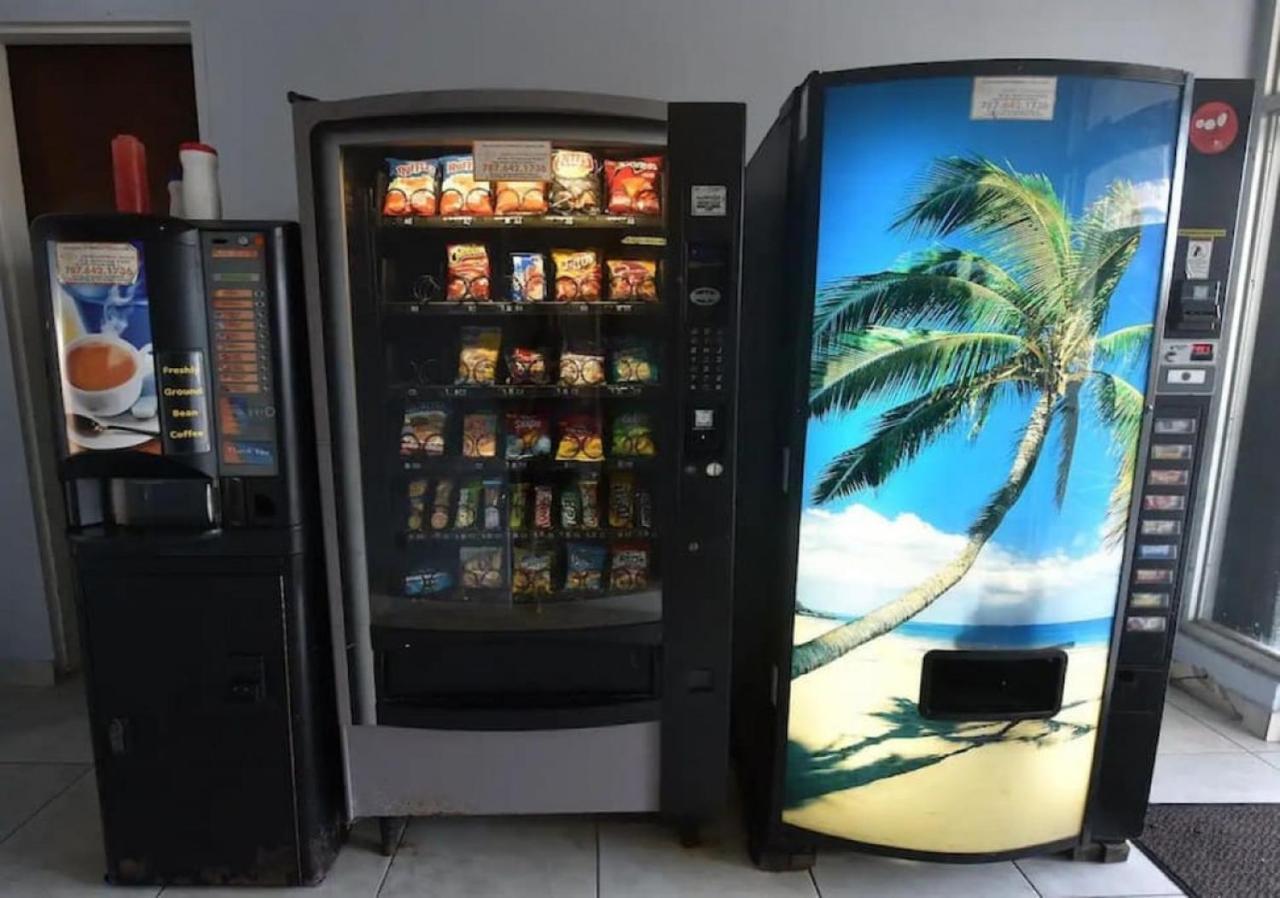 הוילה סן חואן Kasa Royal Palms מראה חיצוני תמונה
