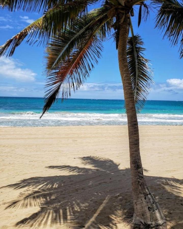 הוילה סן חואן Kasa Royal Palms מראה חיצוני תמונה